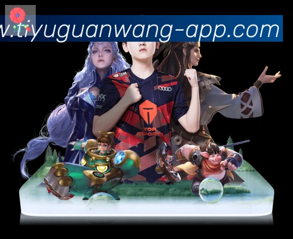 未来规划